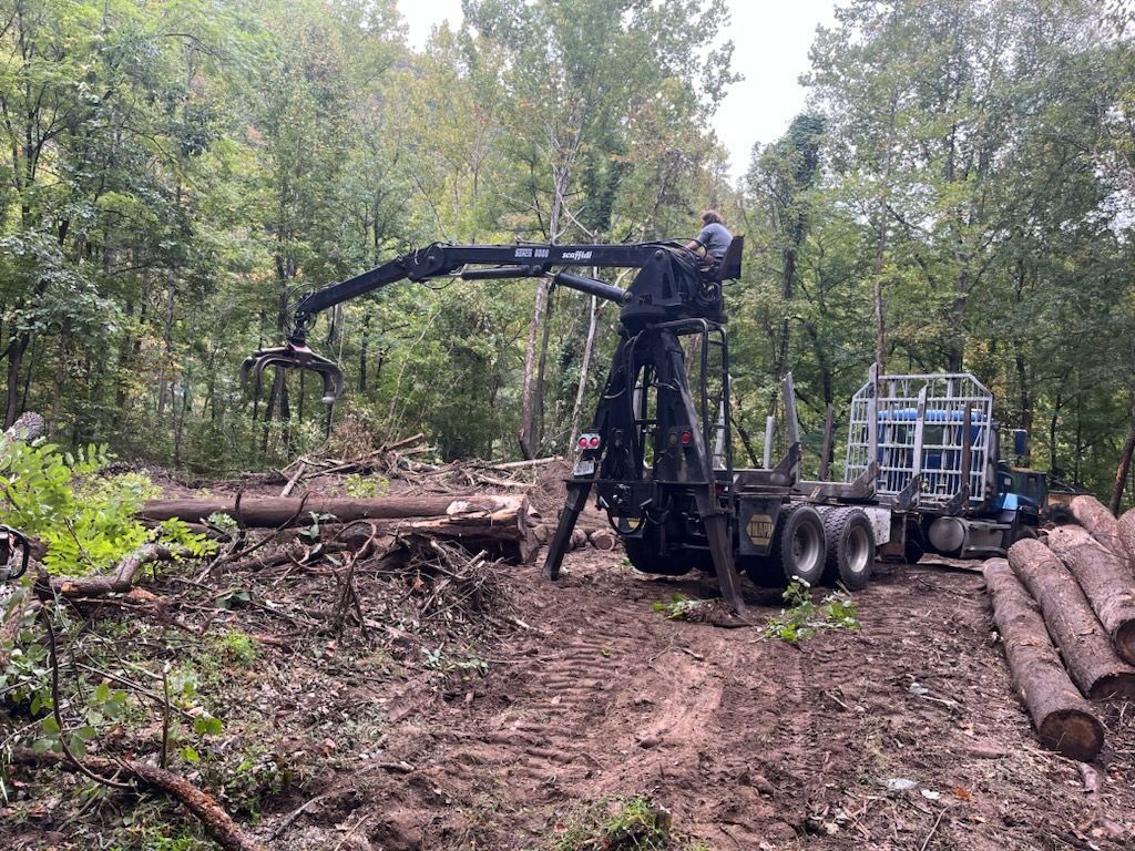 Logging truck in forest, logs on the ground. Operator loading timber.