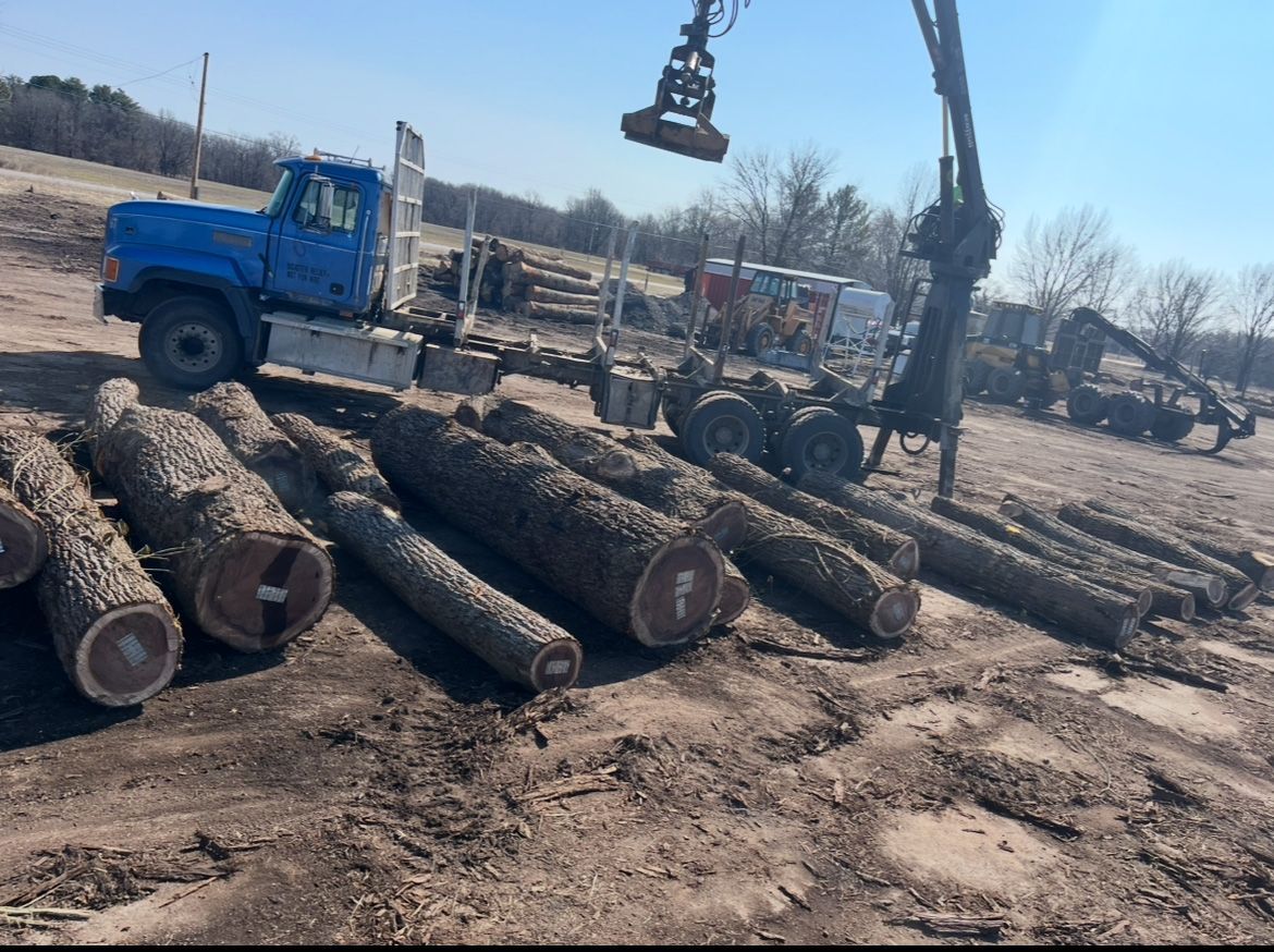Logs being loaded onto a blue logging truck by a crane on a dirt lot.
