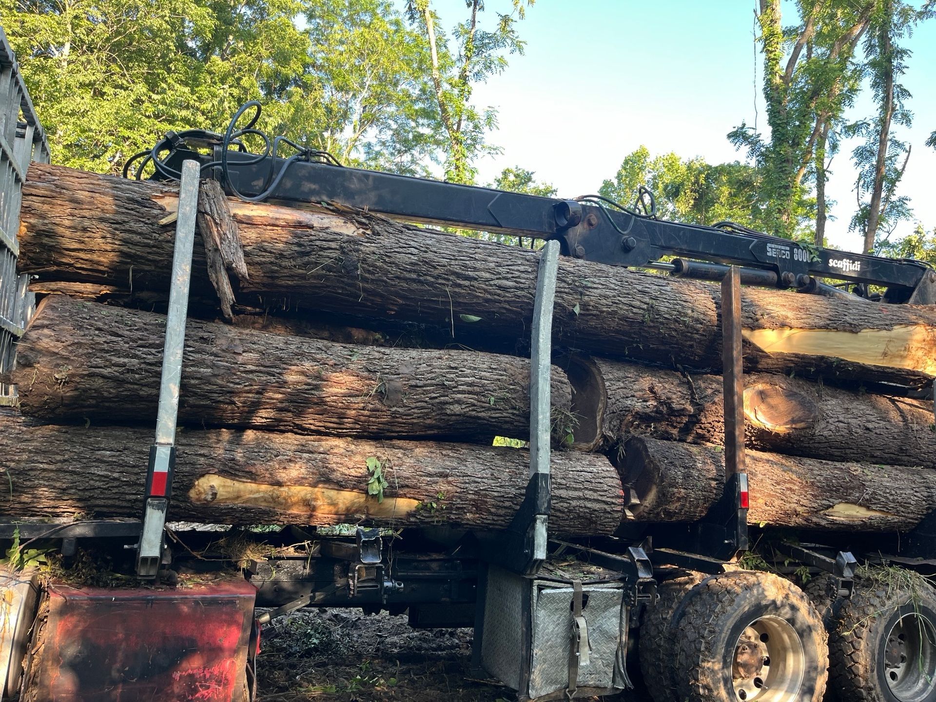 Log truck loaded with large, brown logs.