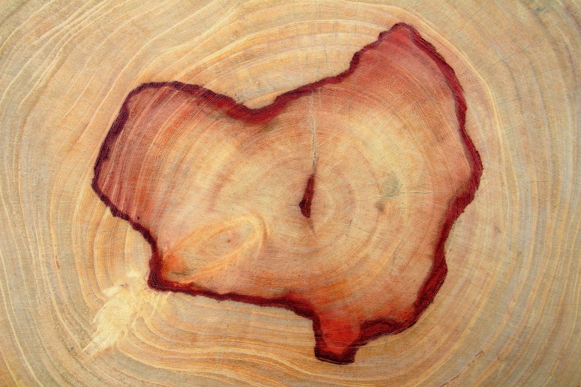 A close up of a piece of wood with a heart shaped hole in it.