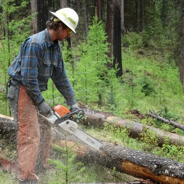 A man wearing a hard hat is cutting a log with a chainsaw