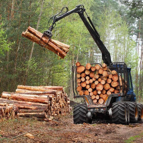 A tractor is loading logs into a trailer in the woods