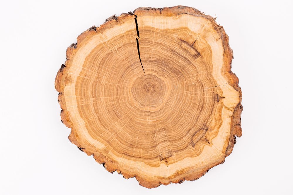 A close up of a piece of wood with a heart shaped hole in it.