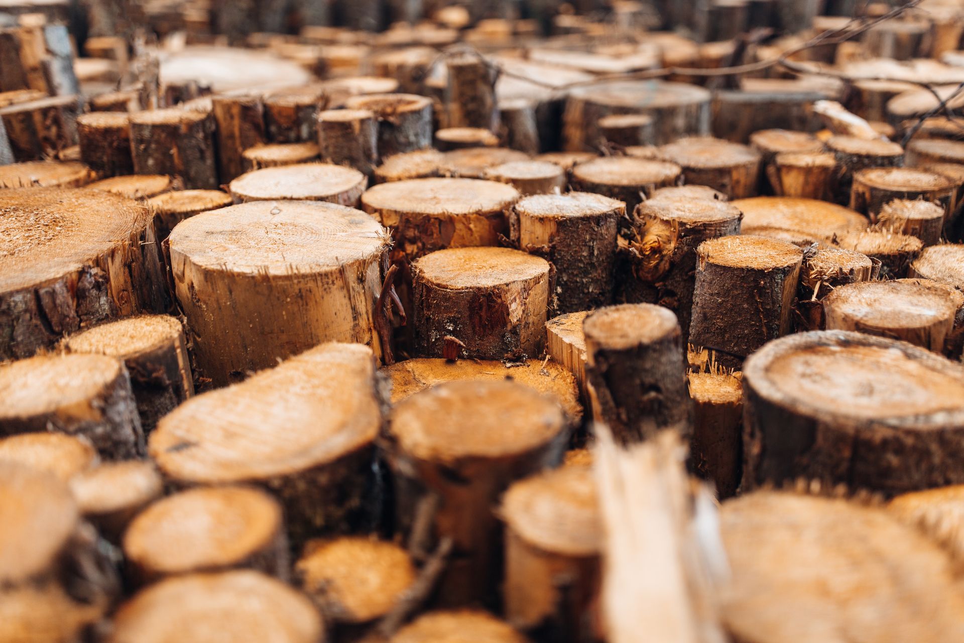 Wooden tree cross-sections arranged in a mosaic pattern, varying heights and colors.