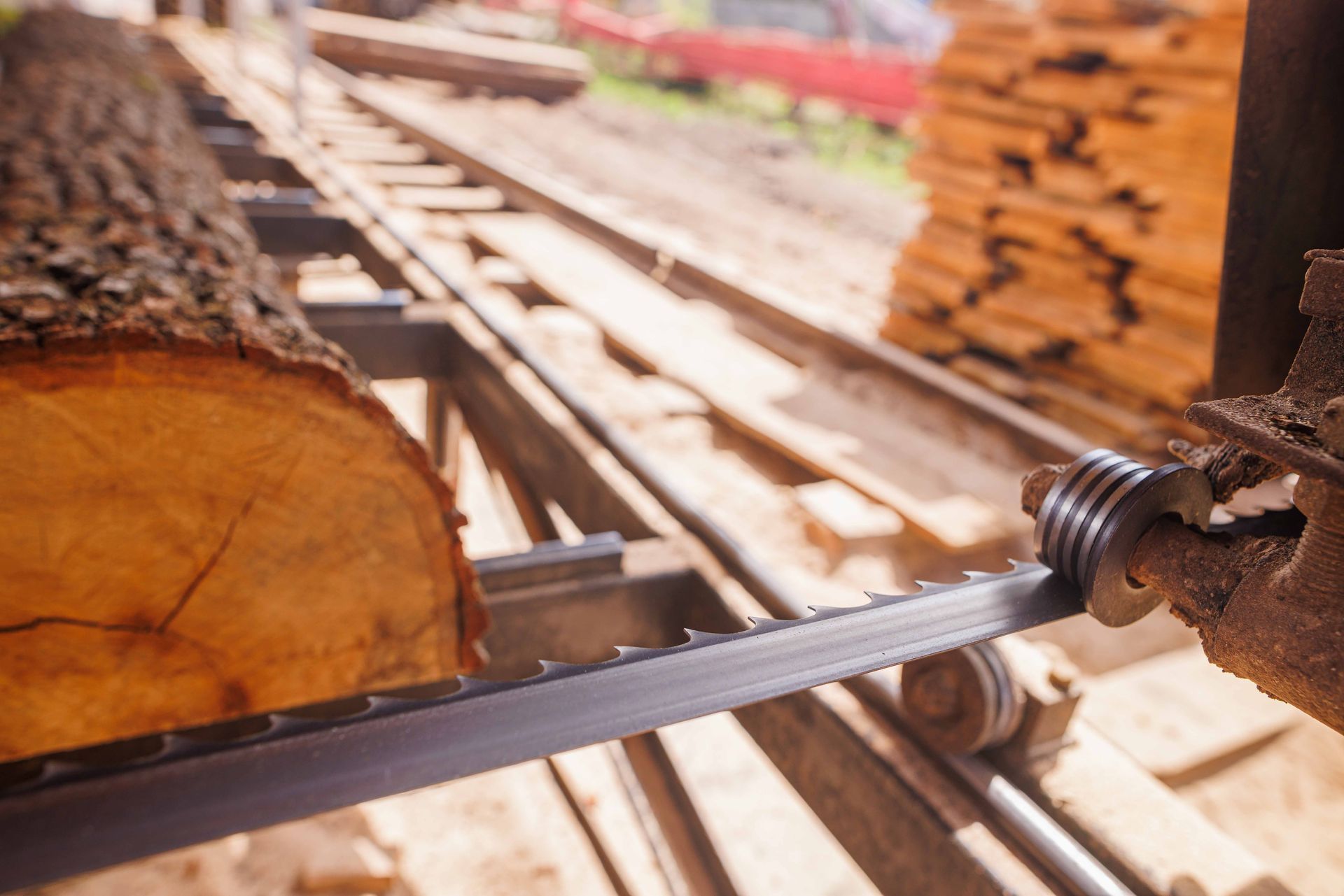 Log being sawed by a band saw at a lumber mill.
