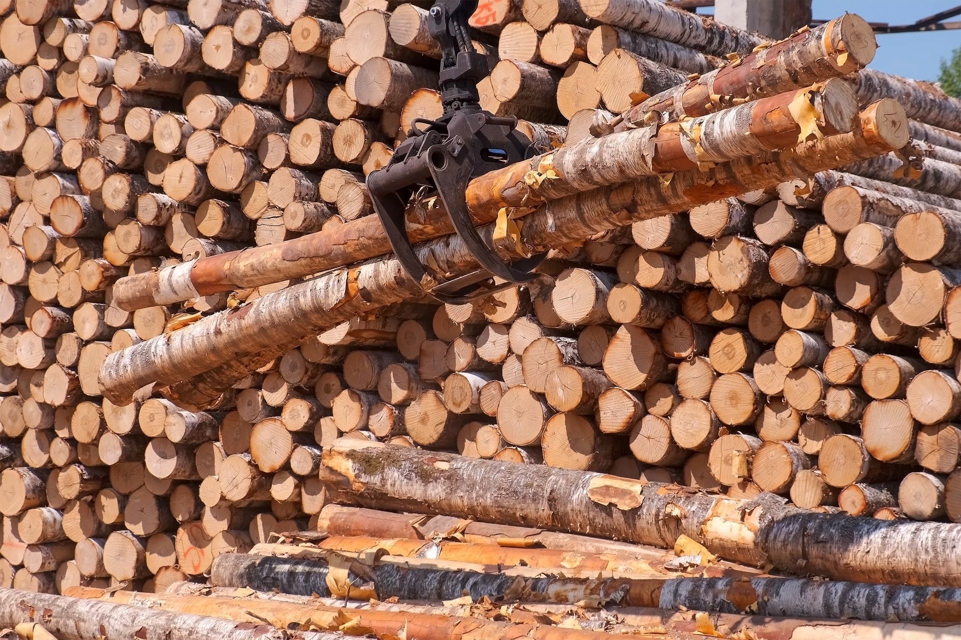 Logs being moved by a mechanical arm against a large stack of logs in a lumberyard.
