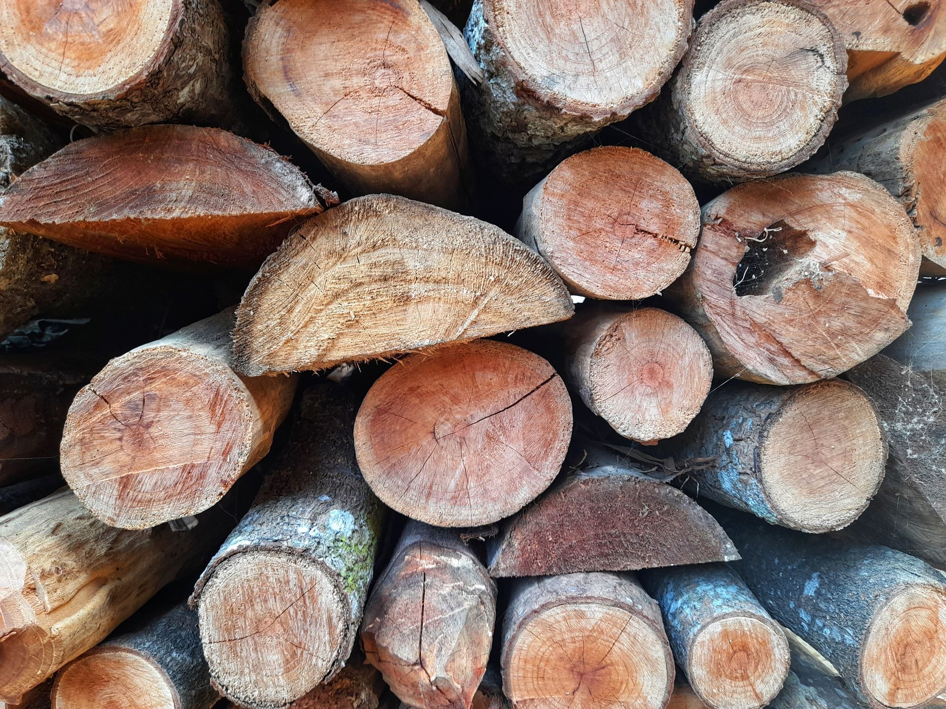Pile of stacked firewood, showing various wood grain and colors.