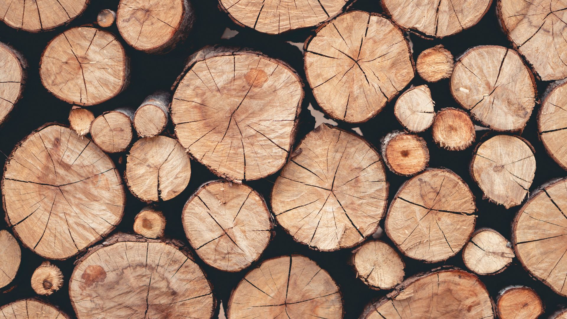 Pile of stacked firewood logs, varying in size and color, with visible wood grain.