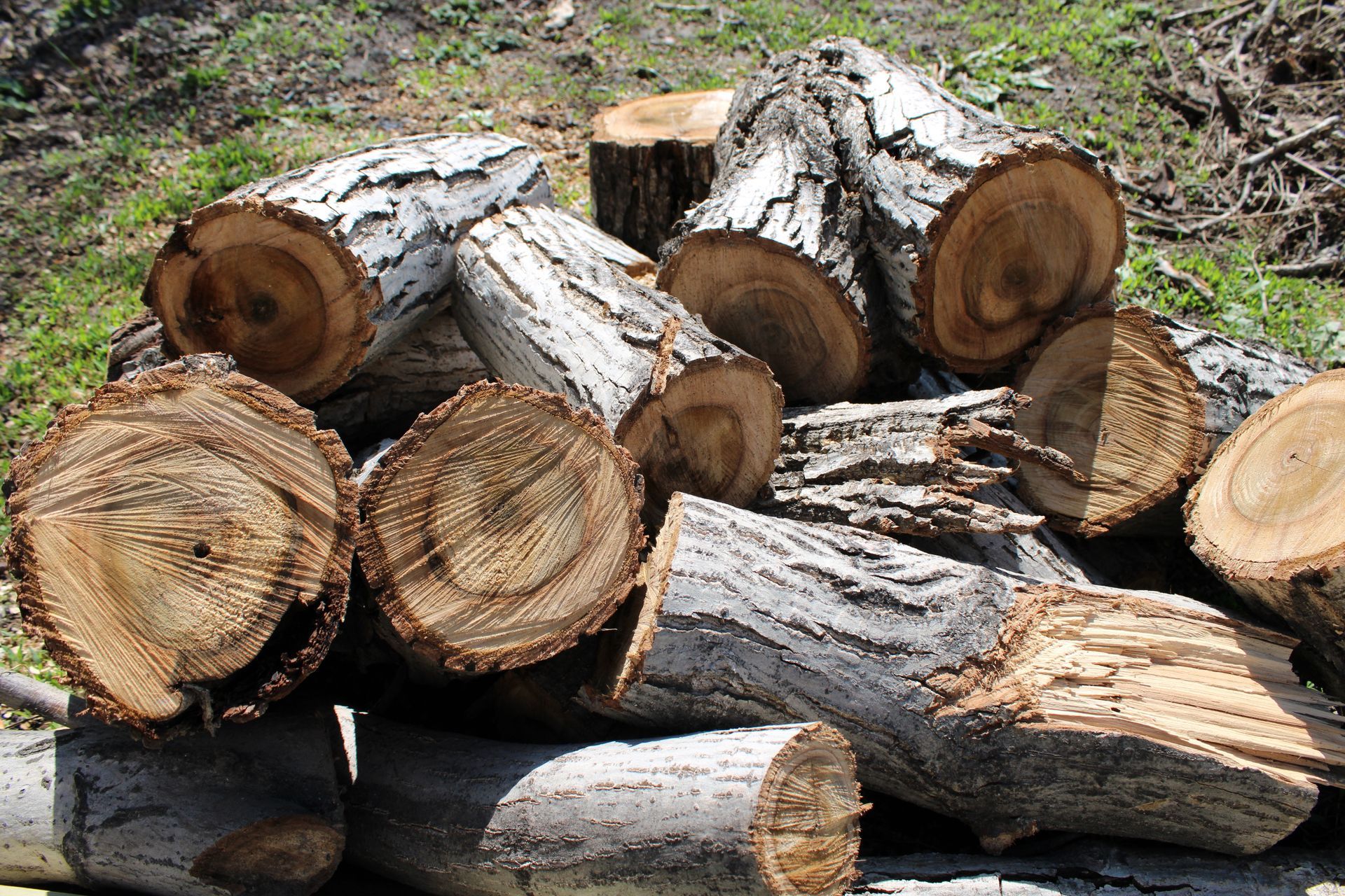 Pile of cut logs, mostly light brown with visible rings, arranged outdoors on a grassy surface.