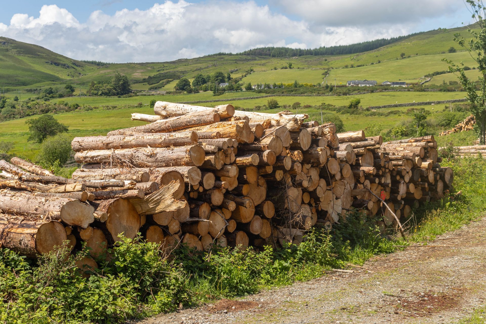 Pile of cut logs in front of a green field and rolling hills under a sunny sky.