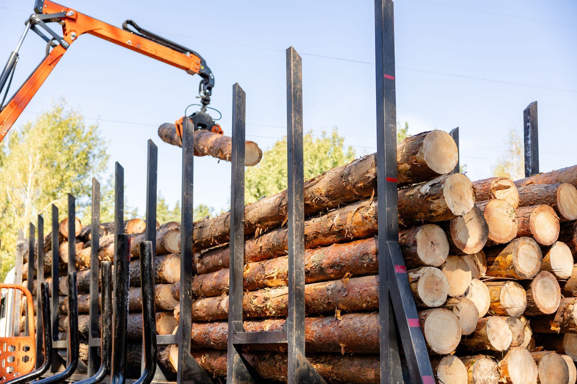 Crane loading logs onto a truck bed. Brown logs, orange crane, black truck, blue sky.