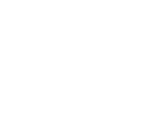Ballerina Birthdays logo