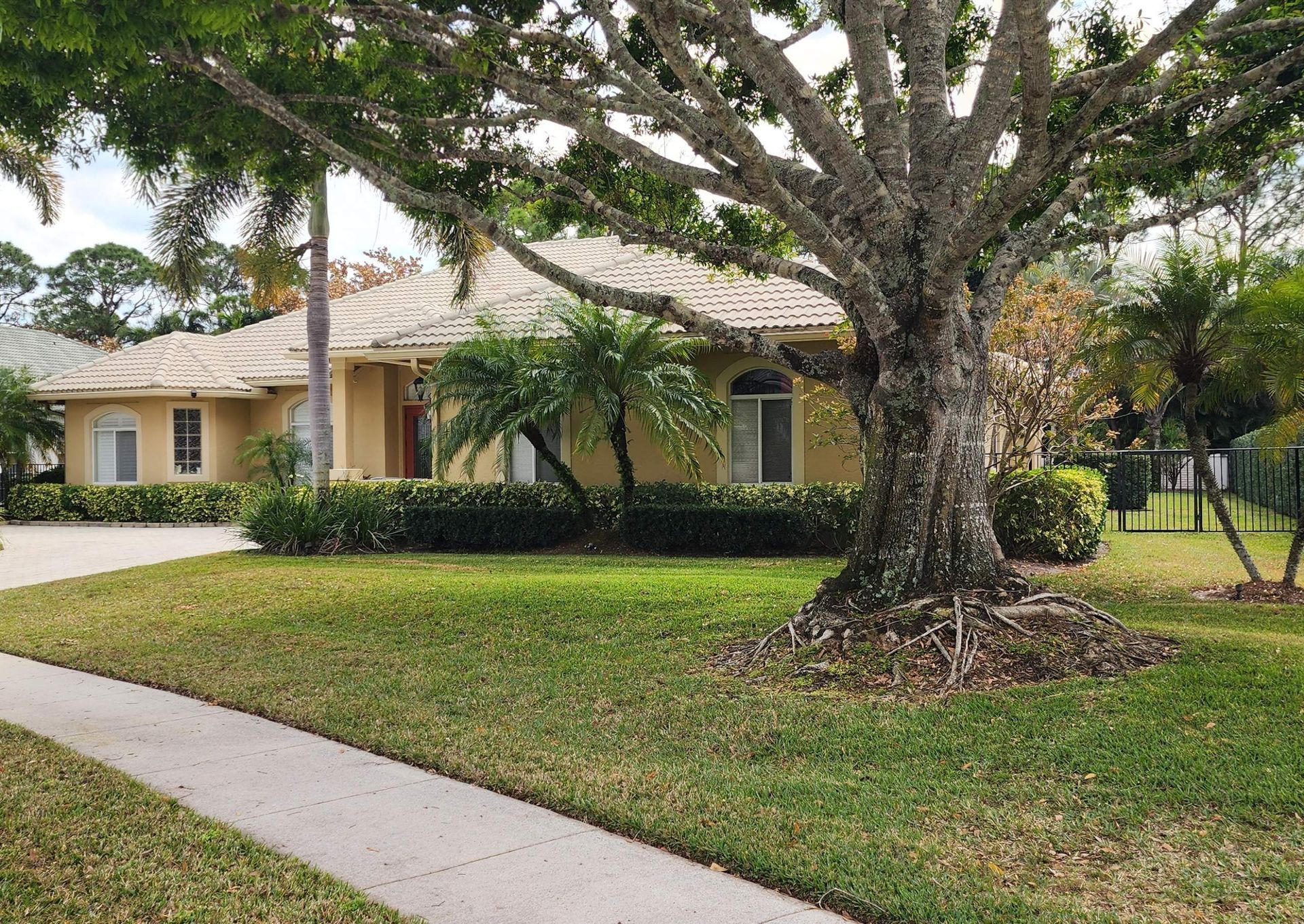 House with beige exterior and tiled roof, behind a large tree and green lawn.