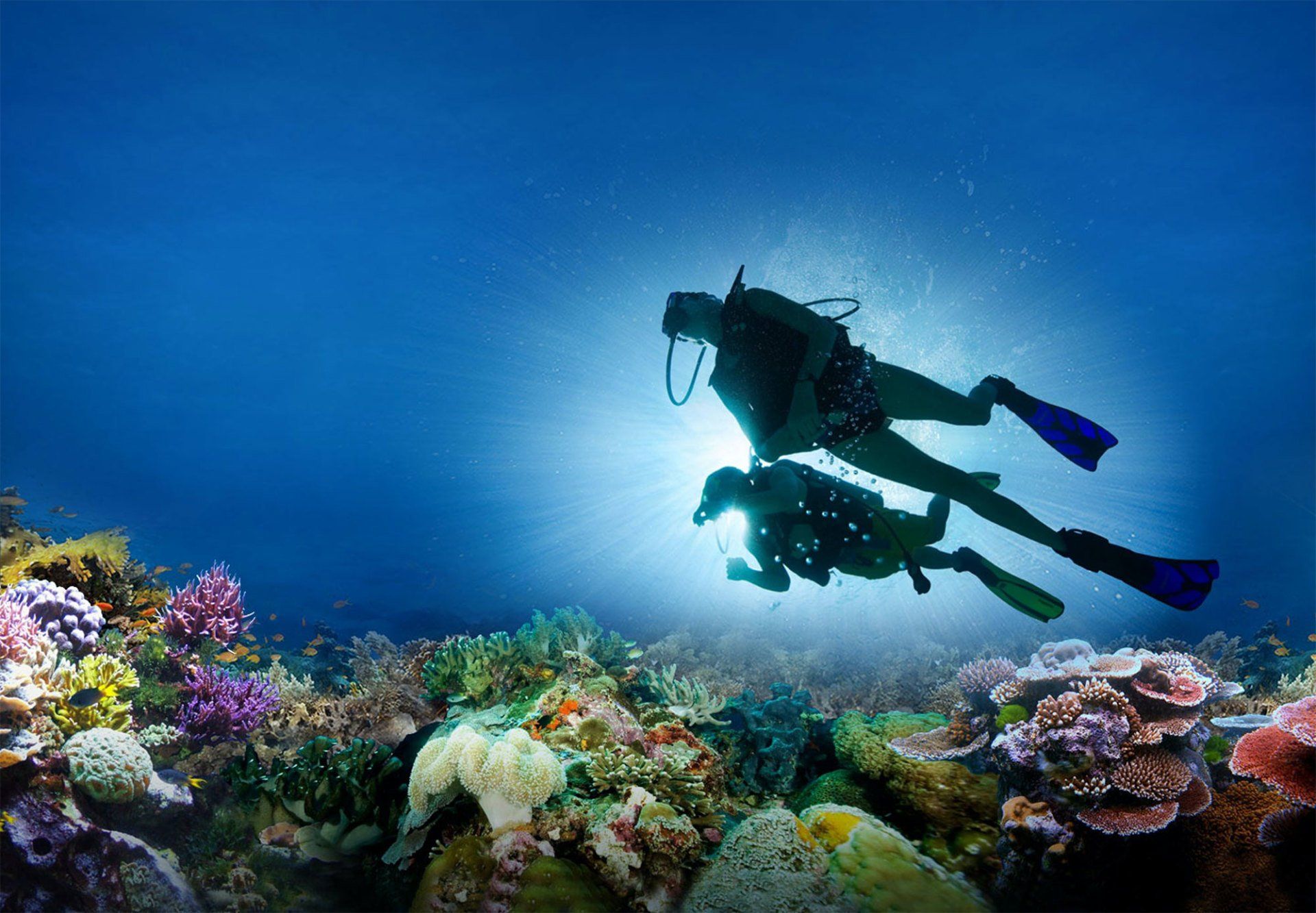 Scuba divers swim over colorful coral reef under a bright sun.