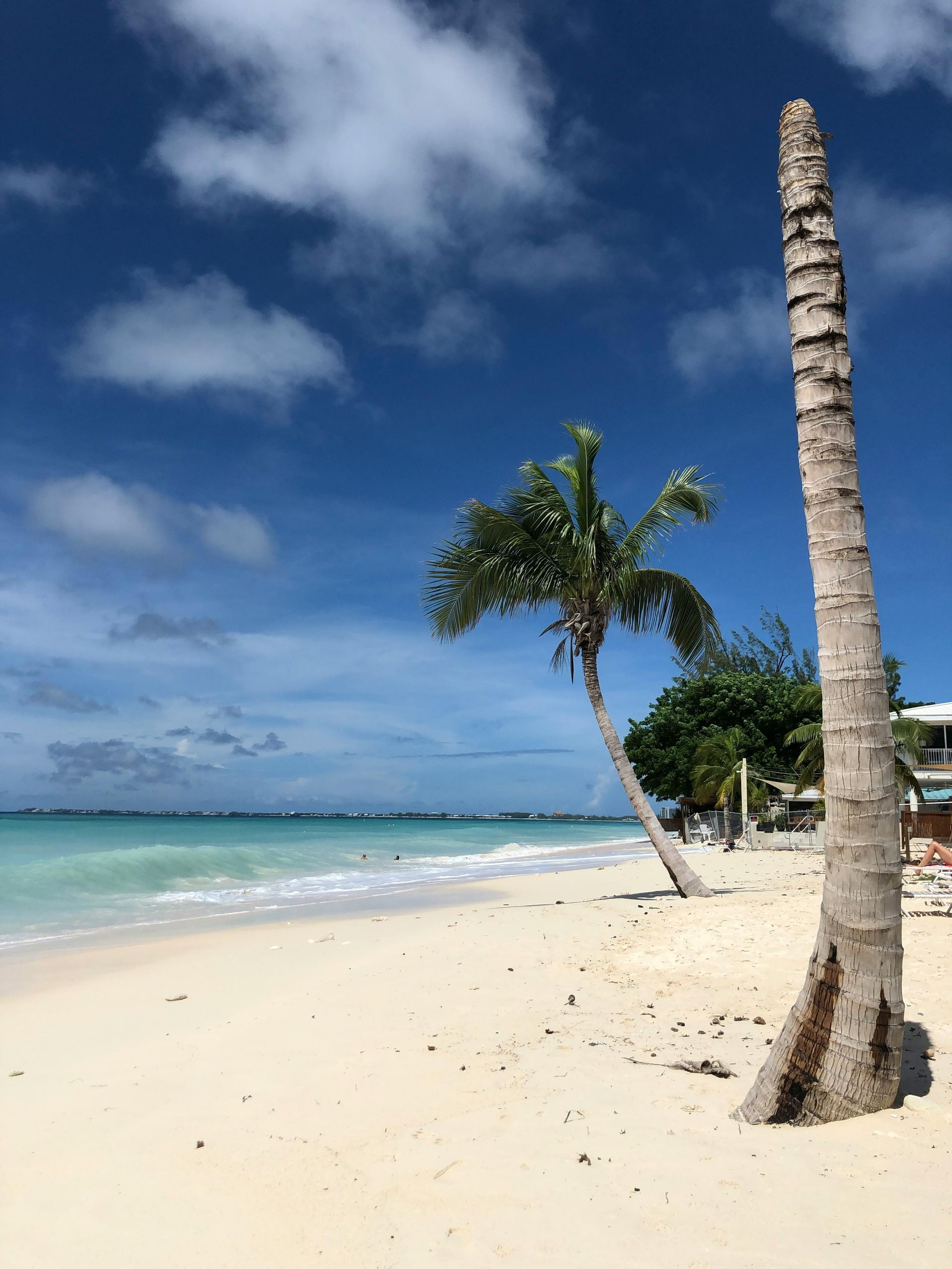 White sand beach with turquoise water and palm trees under a blue sky with fluffy clouds.