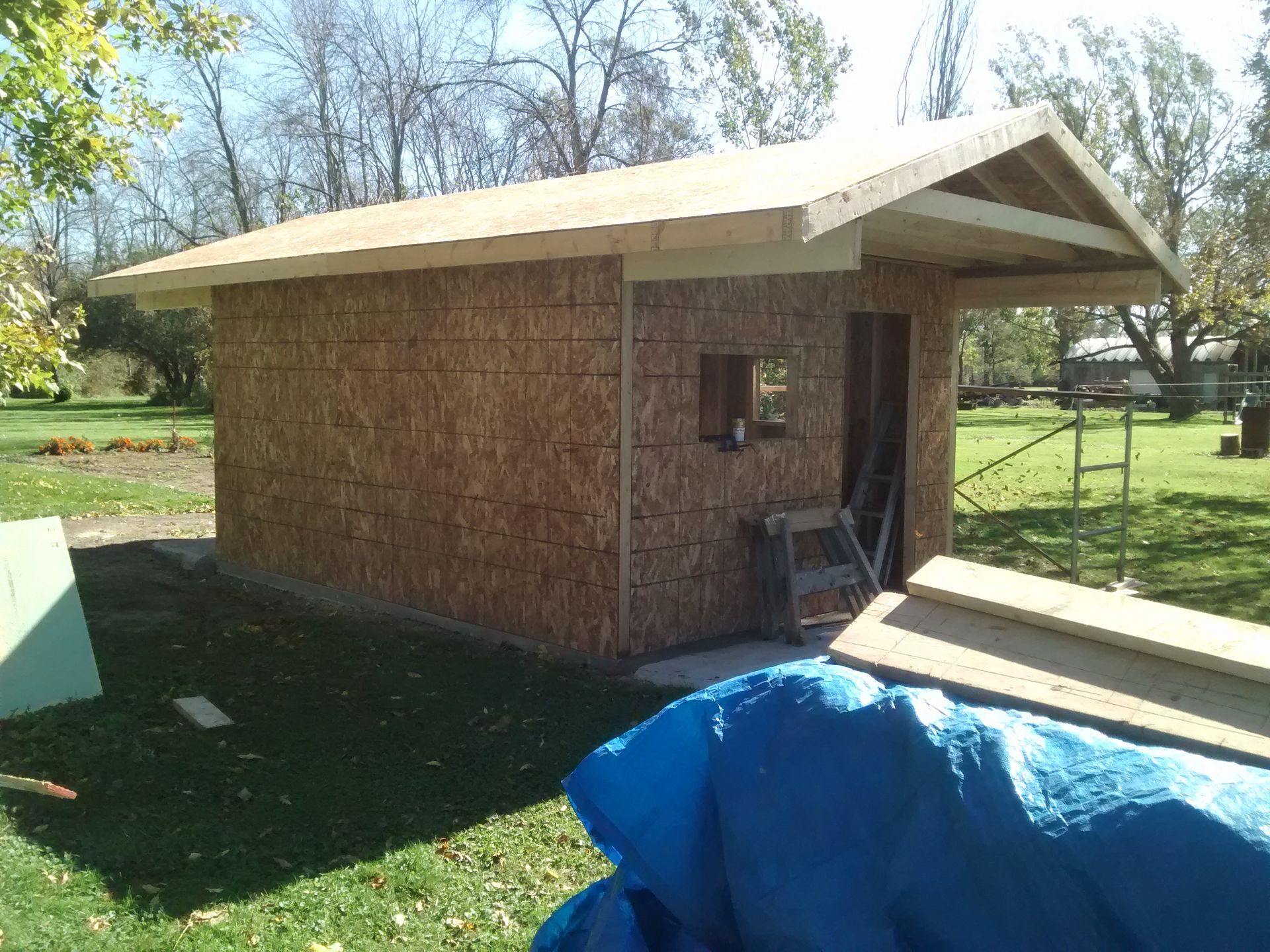 A shed is being built in a backyard with a blue tarp in front of it.