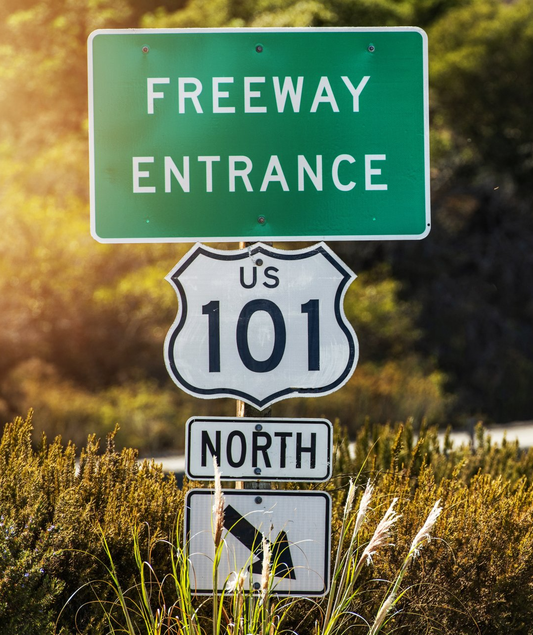 Sonoma County Highway 101