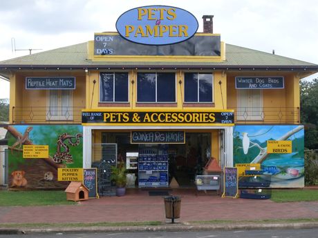 Pets And Pamper Store — Fish & Fish Accessories in Manunda, QLD