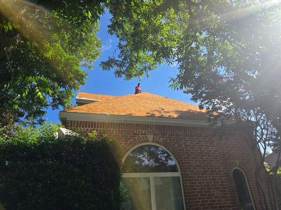 Brick building with a person on a roof, framed by tree branches against a sunny blue sky.