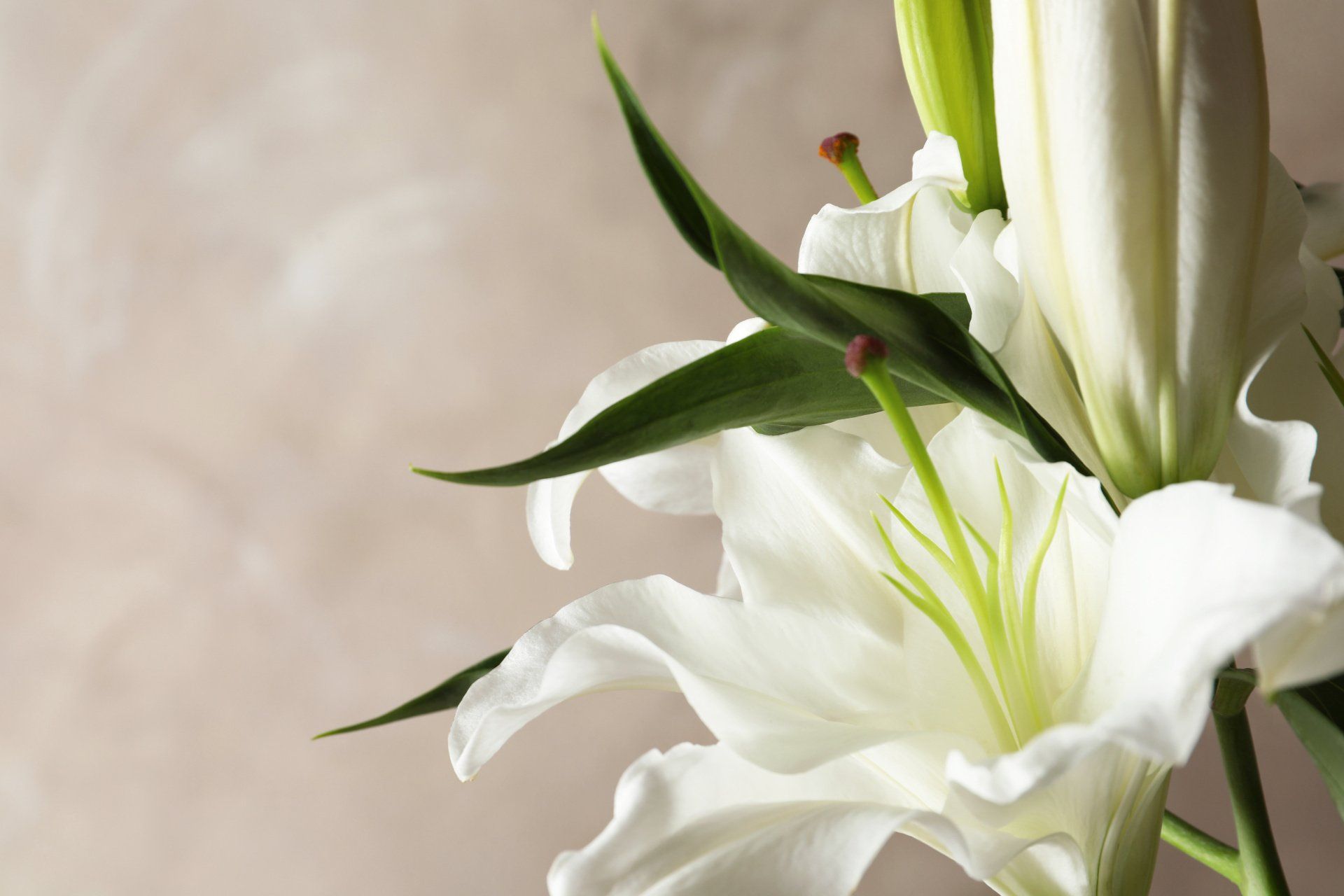 8 Ways to Personalise a Funeral