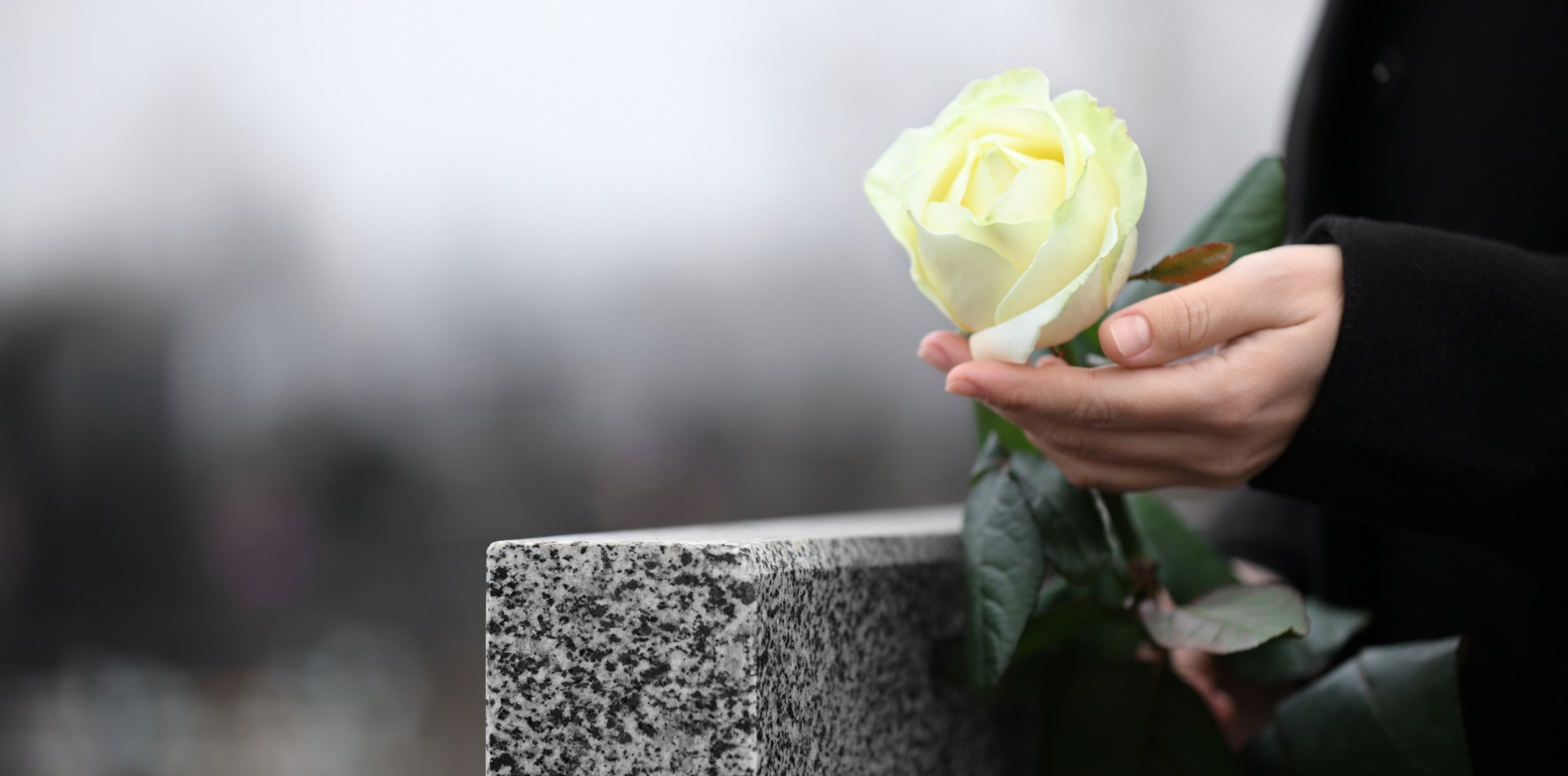 What happens during the cremation service?