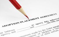 Legal support document for an adoption in Lonoke, AR