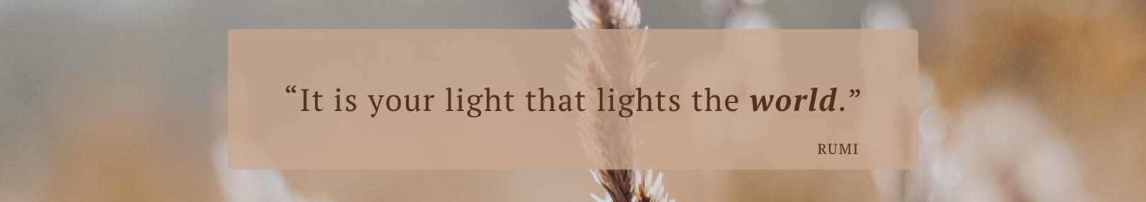 Handwritten quote, “It is your light that lights the world.”