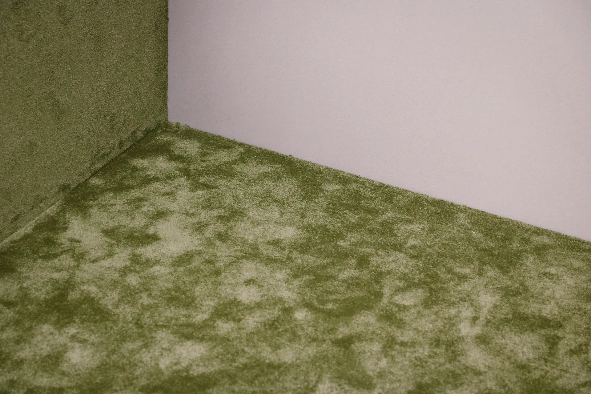 Corner of a room with green textured walls and floor meeting a white wall.