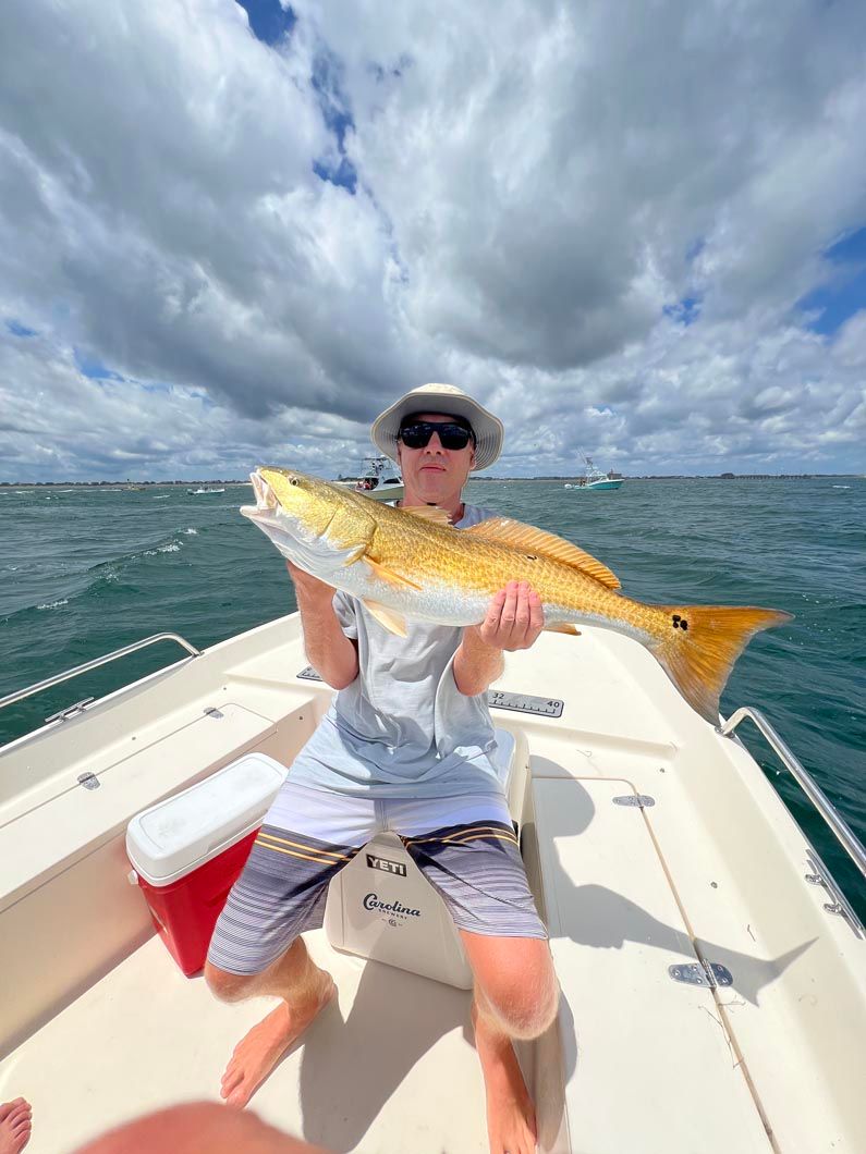 A man is sitting on a boat holding a large fish.
