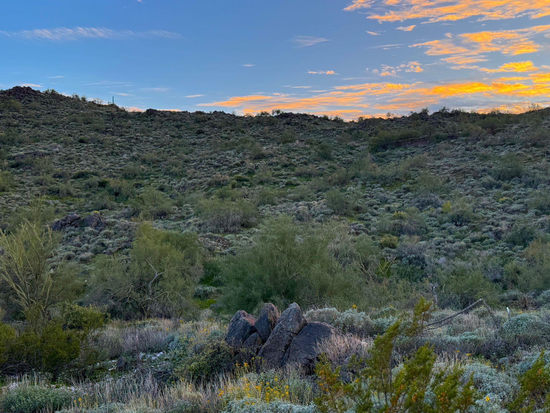 A hillside covered in desert plants under a colorful sunset sky at lot 216 in Eagles Nest