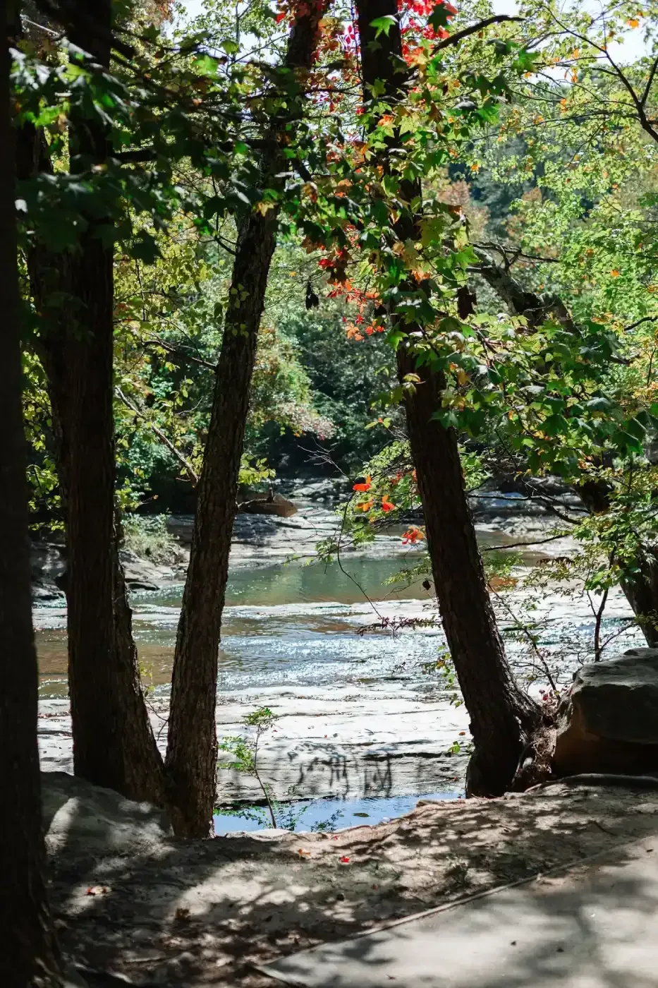 Lake at Ilion Apartments.