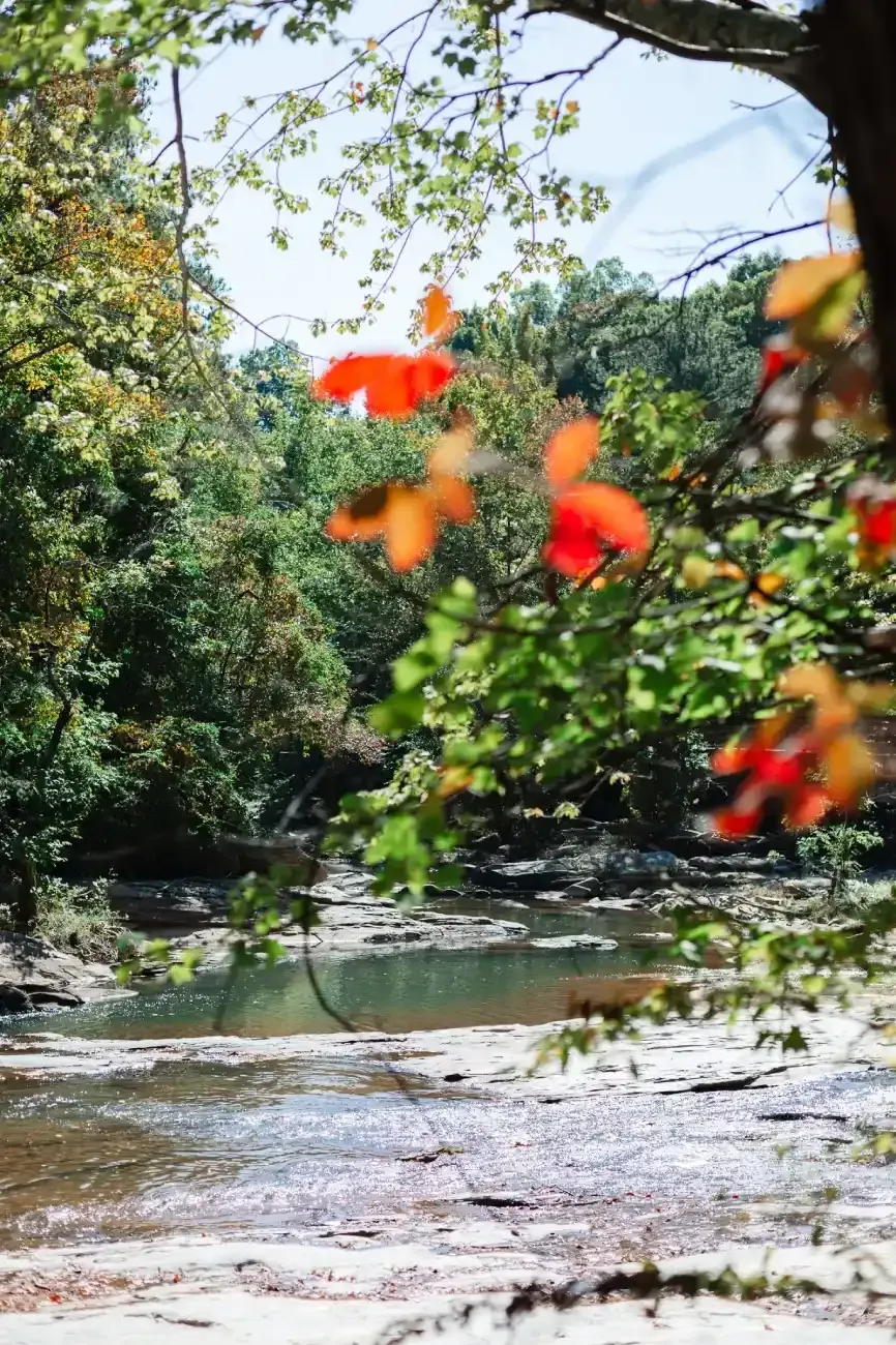 Lake at Ilion Apartments.
