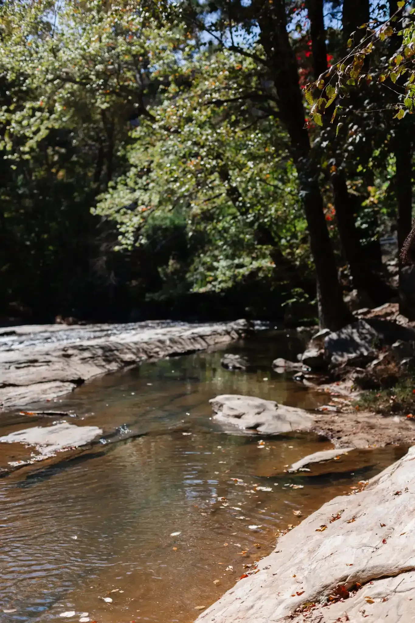 Lake at Ilion Apartments.