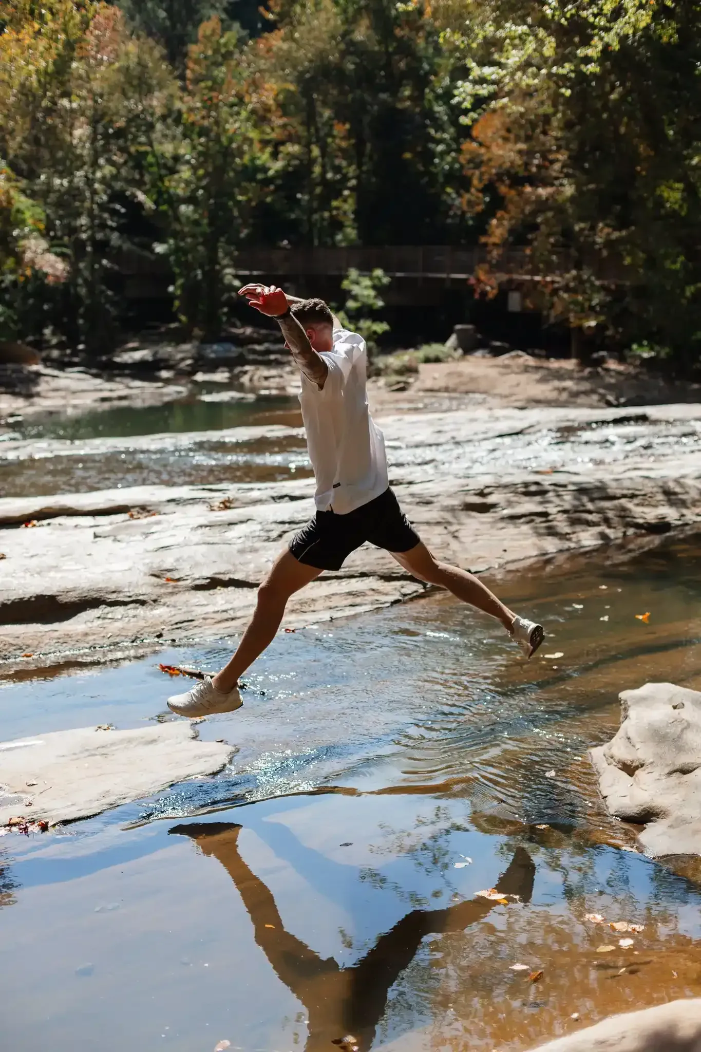 Lake at Ilion Apartments.