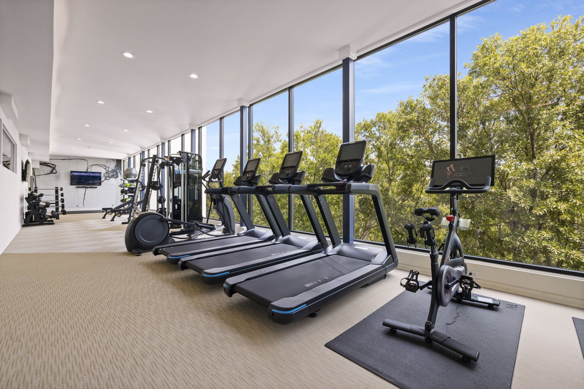 Fitness Center at Ilion Apartments.