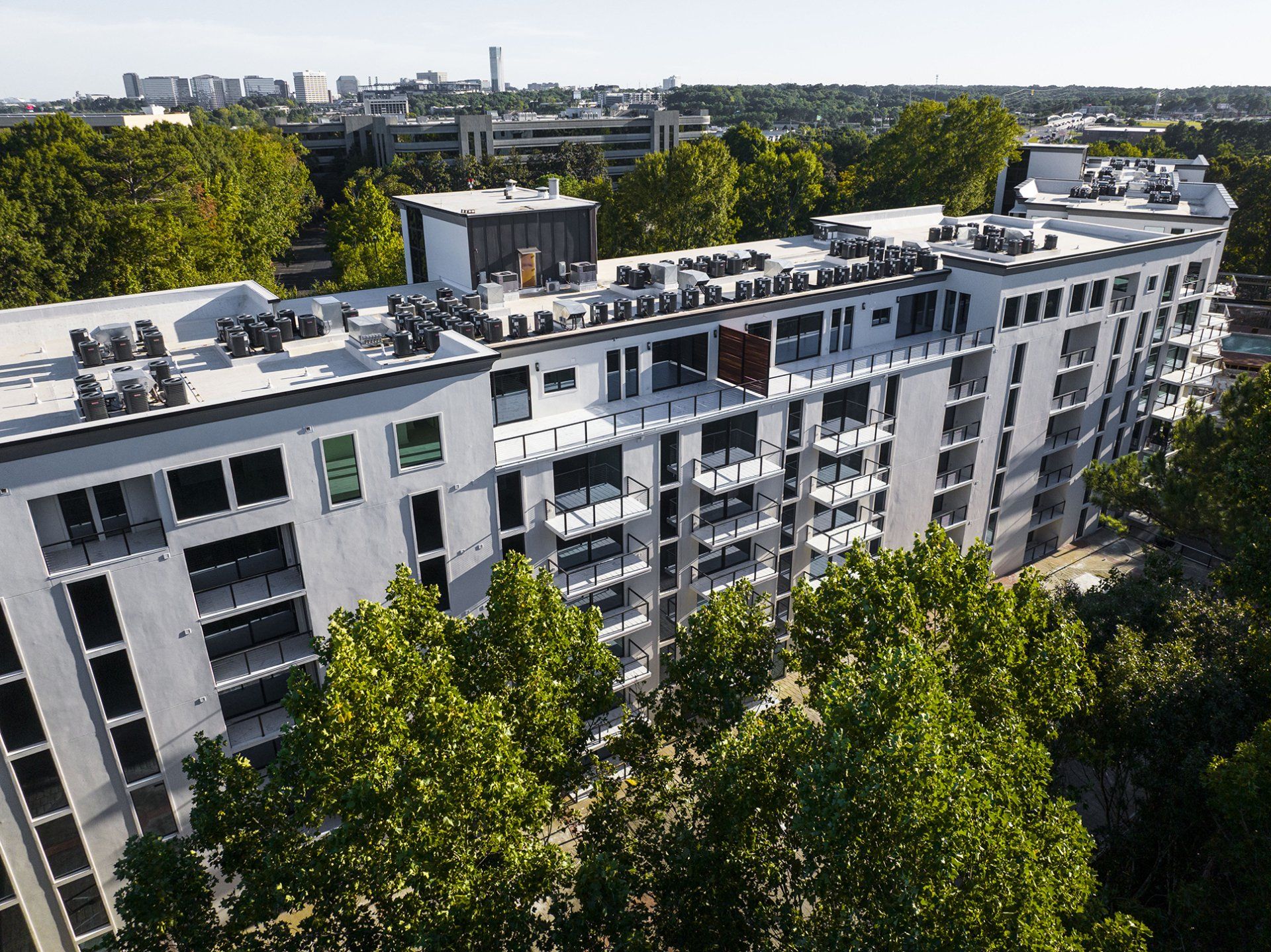 Amenities PetFriendly Apartments Near Atlanta Braves Stadium