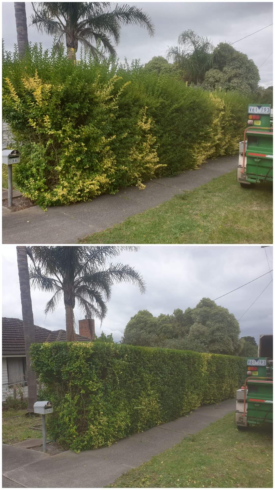 Hedge trimming | Latrobe Valley, VIC | Rob's Tree Service