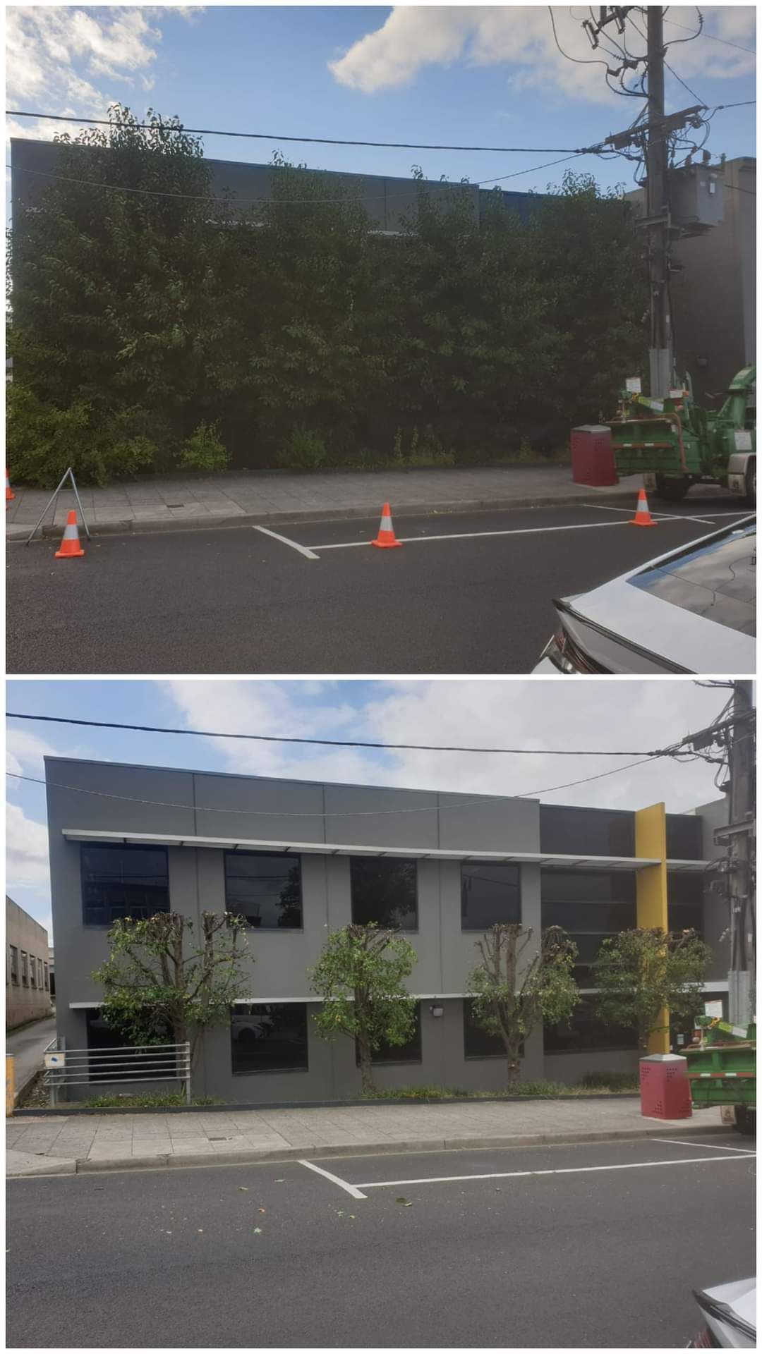 Before and after of tree pruning | Latrobe Valley, VIC | Rob's Tree Service