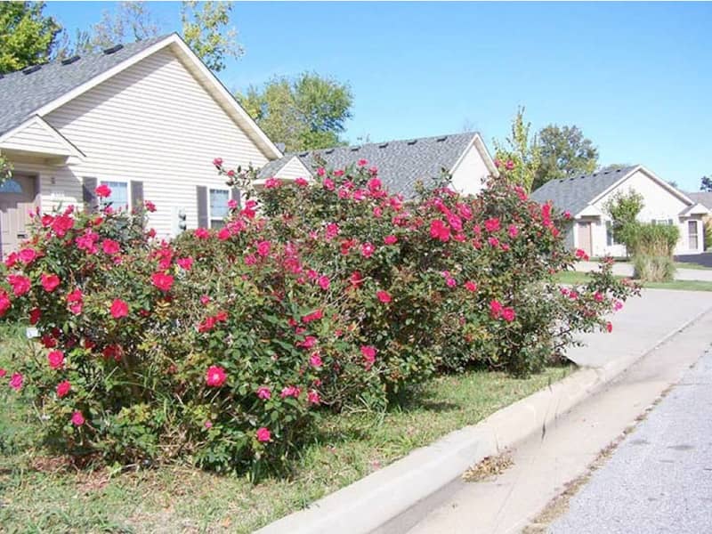 Missouri Place Properties Photos