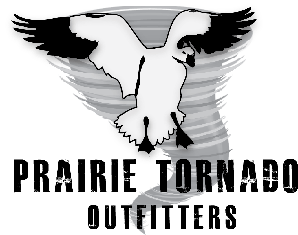 SD Snow Goose Hunting