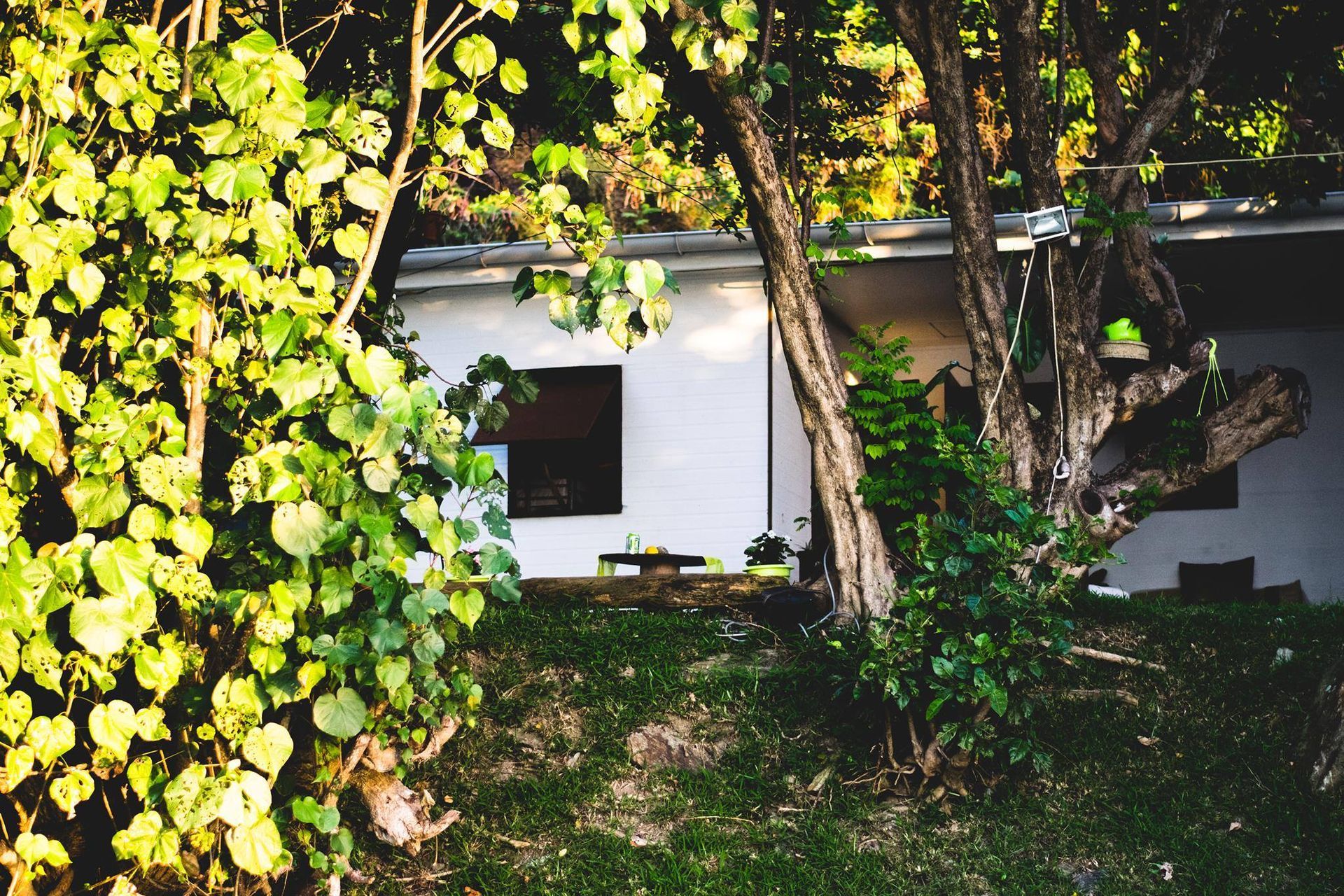 Endroit pour boir du kava a l;auberge timay