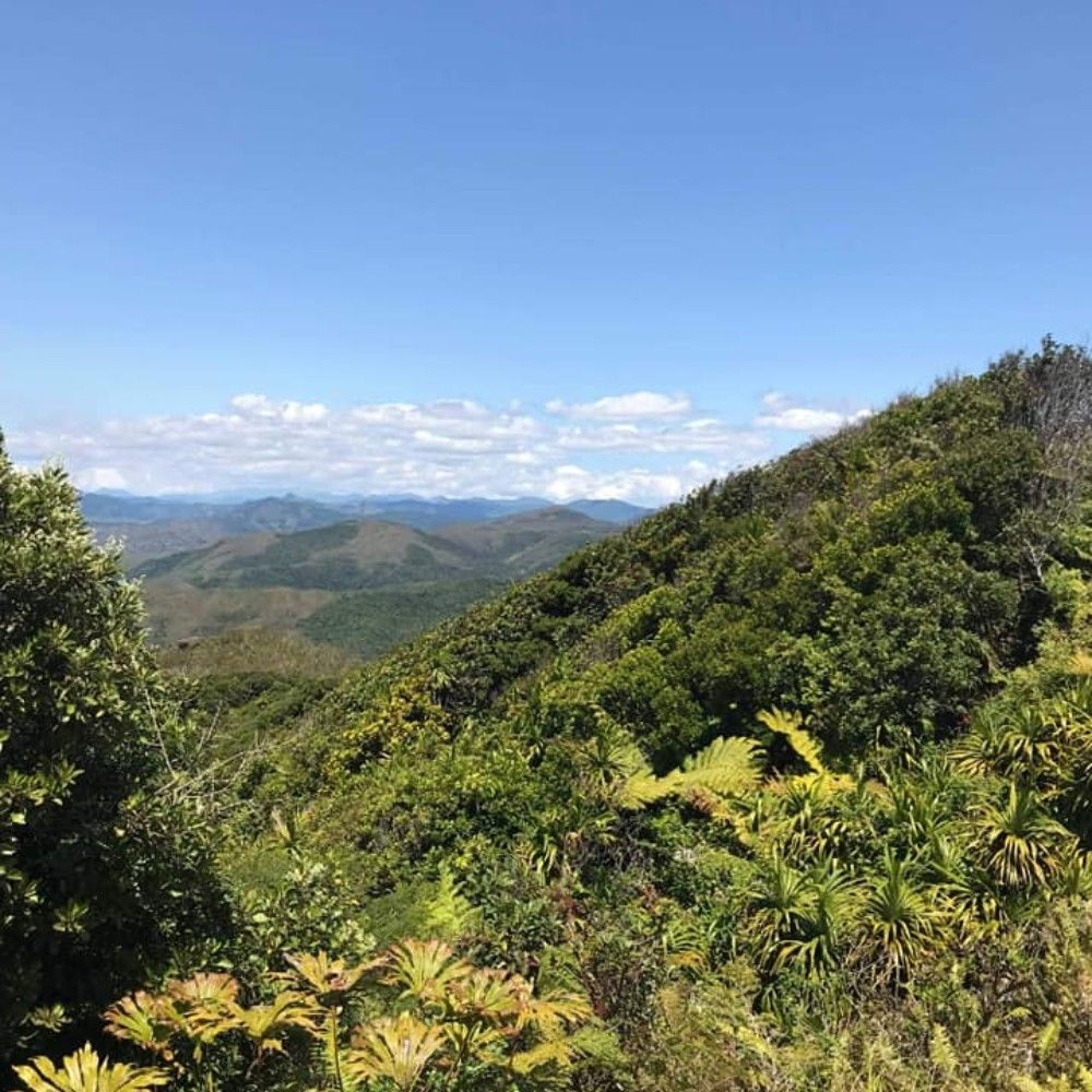 Vue du couloir de la province nord