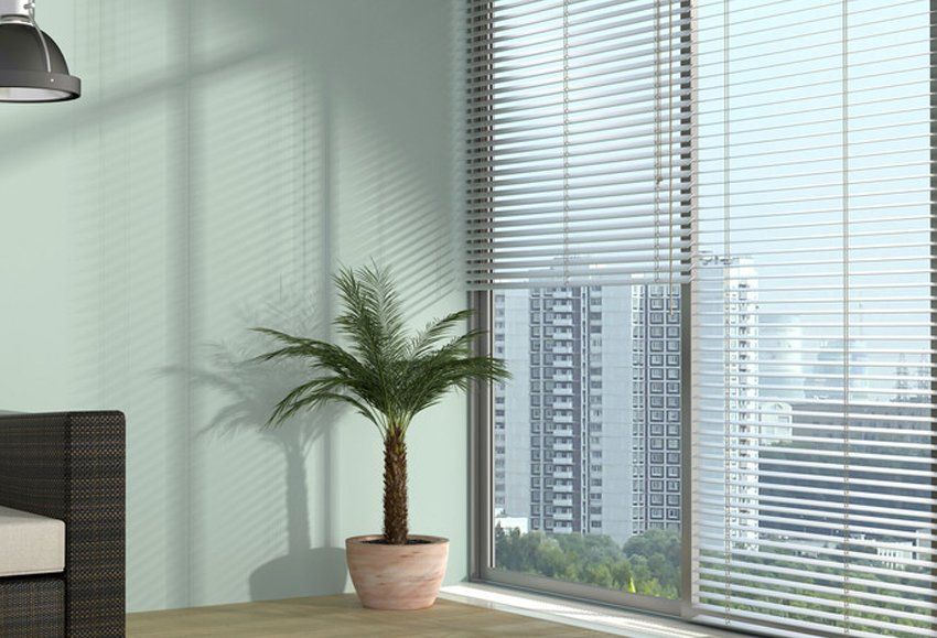 window blinds