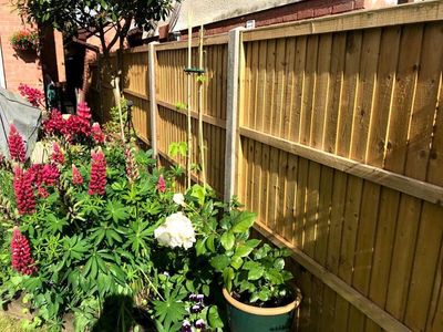 Fencing Contractors In Basingstoke Kd Fencing