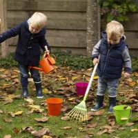 Collection of firewood