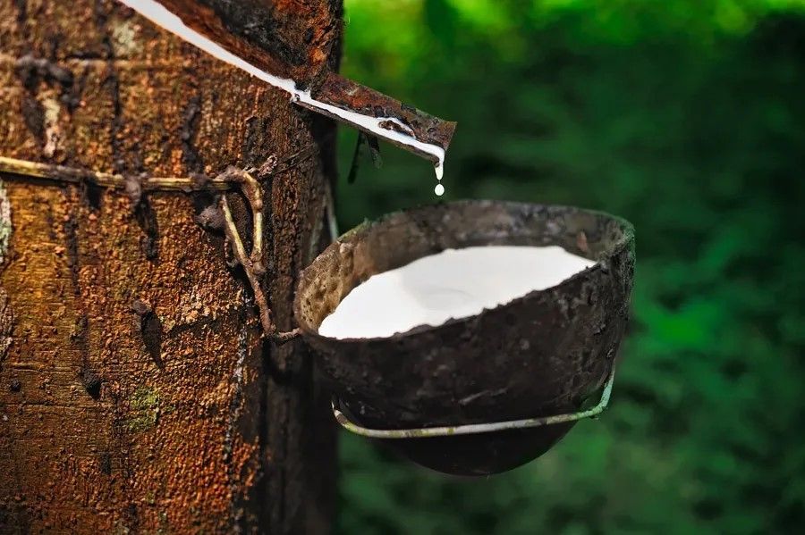 Palla fatta di elastici intrecciati, appoggiata su un mucchio sparso di elastici color marrone chiaro.