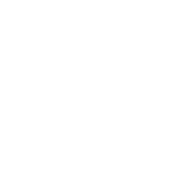 Icona – manutenzione