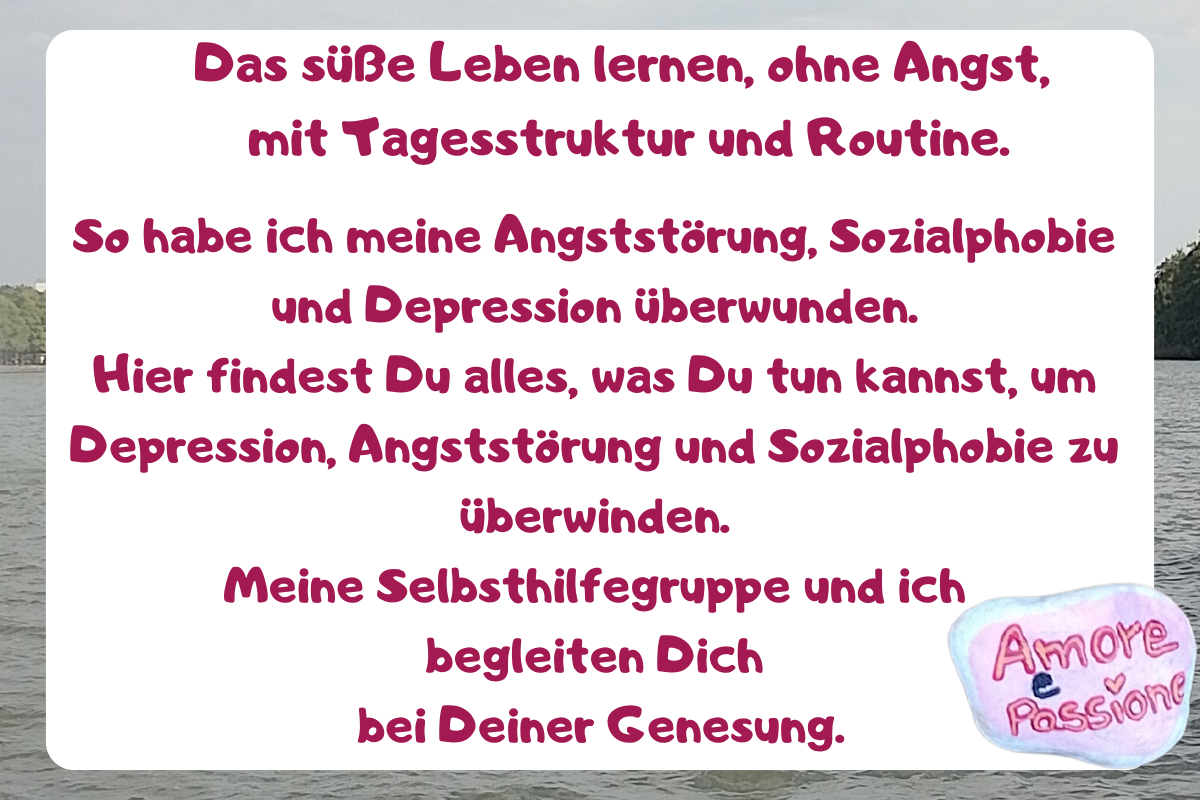 Das süße Leben lernen, ohne Angst,
mit Tagesstruktur und Routine.
So habe ich meine Angststörung, Sozialphobie und Depression überwunden.
Hier findest Du alles, was Du tun kannst, um Depression, Angststörung und Sozialphobie zu überwinden.
Meine Selbsthilfegruppe und ich
begleiten Dich
bei Deiner Genesung.