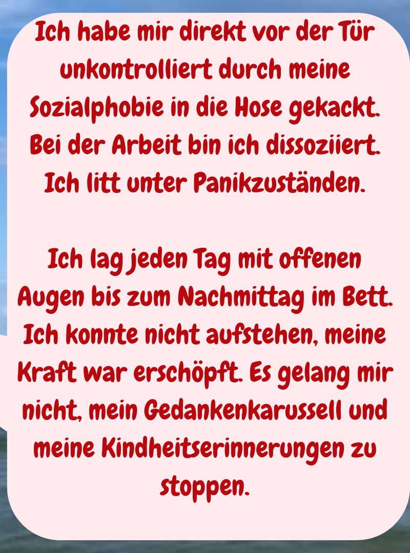 Ich habe mir direkt vor der Tür unkontrolliert durch meine Sozialphobie in die Hose gekackt.
Bei der Arbeit bin ich dissoziiert.
Ich litt unter Panikzuständen.
Ich lag jeden Tag mit offenen Augen bis zum Nachmittag im Bett. Ich konnte nicht aufstehen, meine Kraft war erschöpft. Es gelang mir nicht, mein Gedankenkarussell und meine Kindheitserinnerungen zu stoppen.
