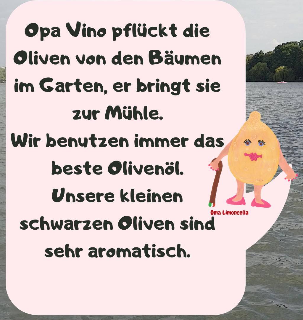 Opa Vino pflückt die Oliven von den Bäumen im Garten, er bringt sie zur Mühle.
Wir benutzen immer das beste Olivenöl.
Unsere kleinen schwarzen Oliven sind sehr aromatisch.
